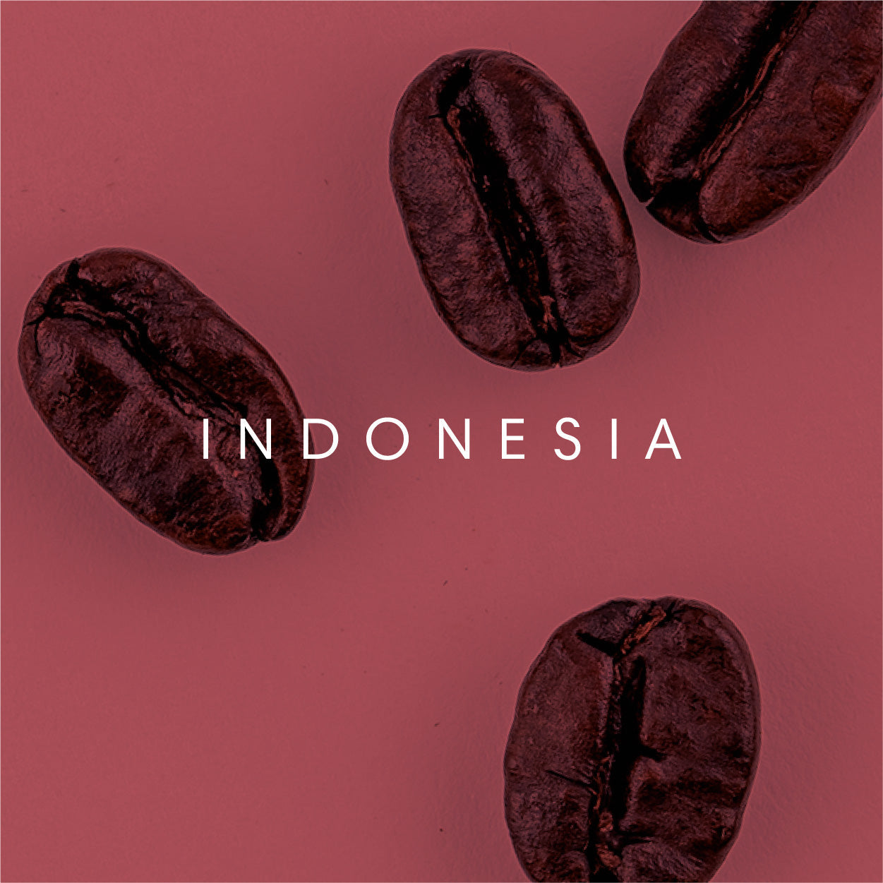 Indonesia, Java Frinsa Estate