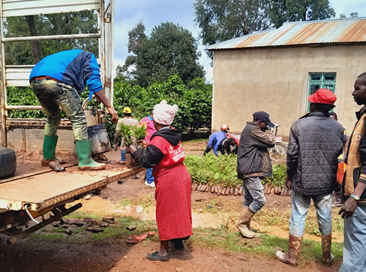 Tanzania, African Canopy