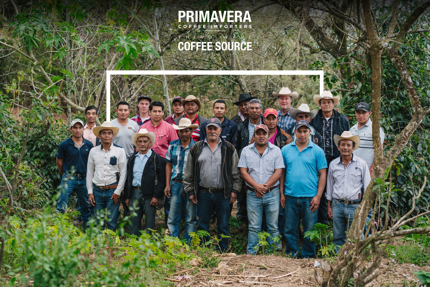 Guatemala, Primavera Coffee
