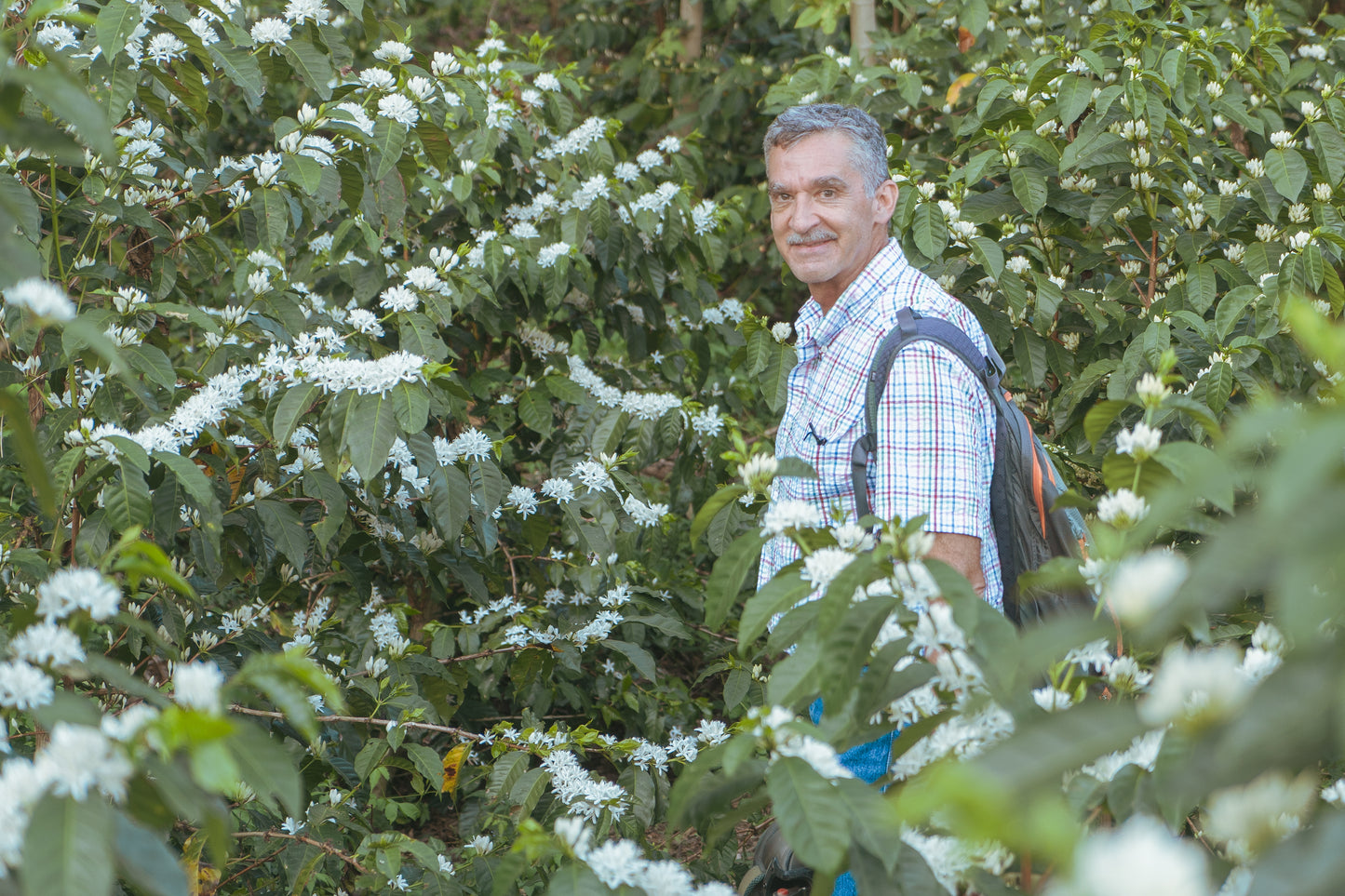 El Salvador, CaféNor pacamara