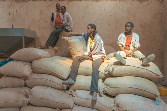 Ethiopia Yirgacheffe G/1 KONGA Natural