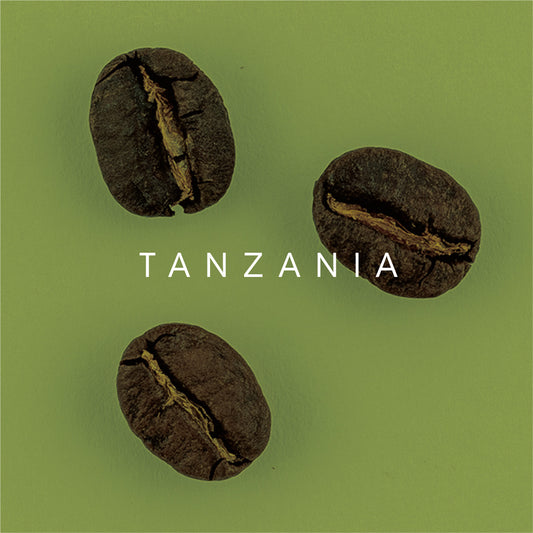Tanzania, African Canopy