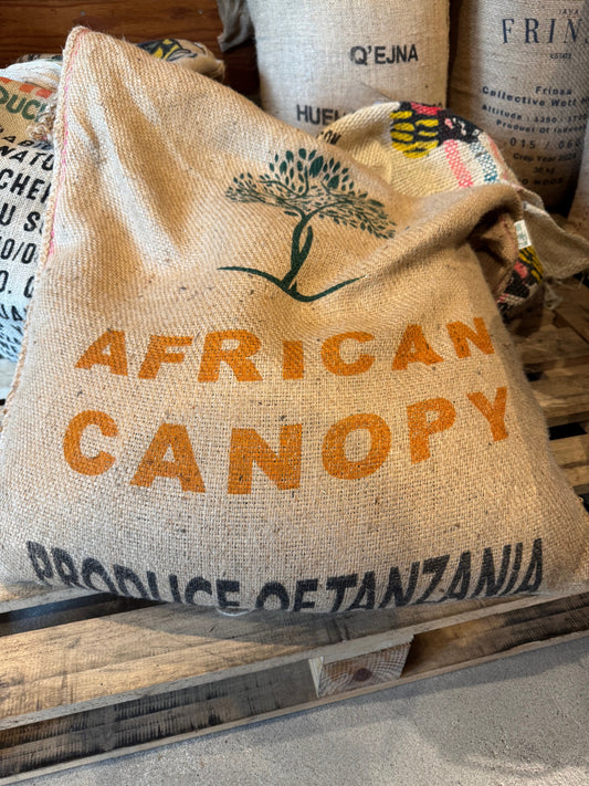 Tanzania, African Canopy