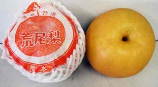 【熊本県産】新高梨