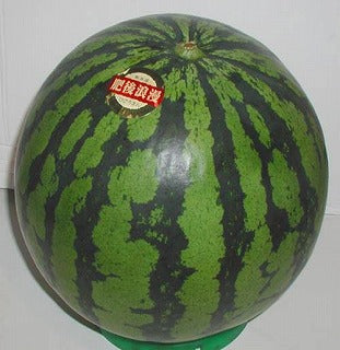 【西瓜】肥後浪漫