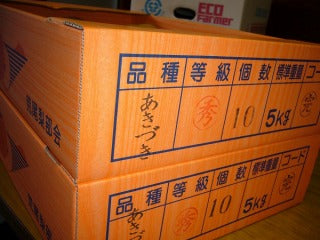 【熊本県産】あきづき梨