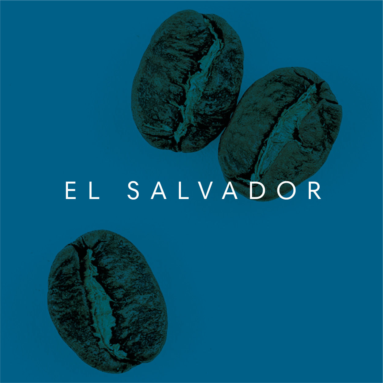 El Salvador, CaféNor pacamara