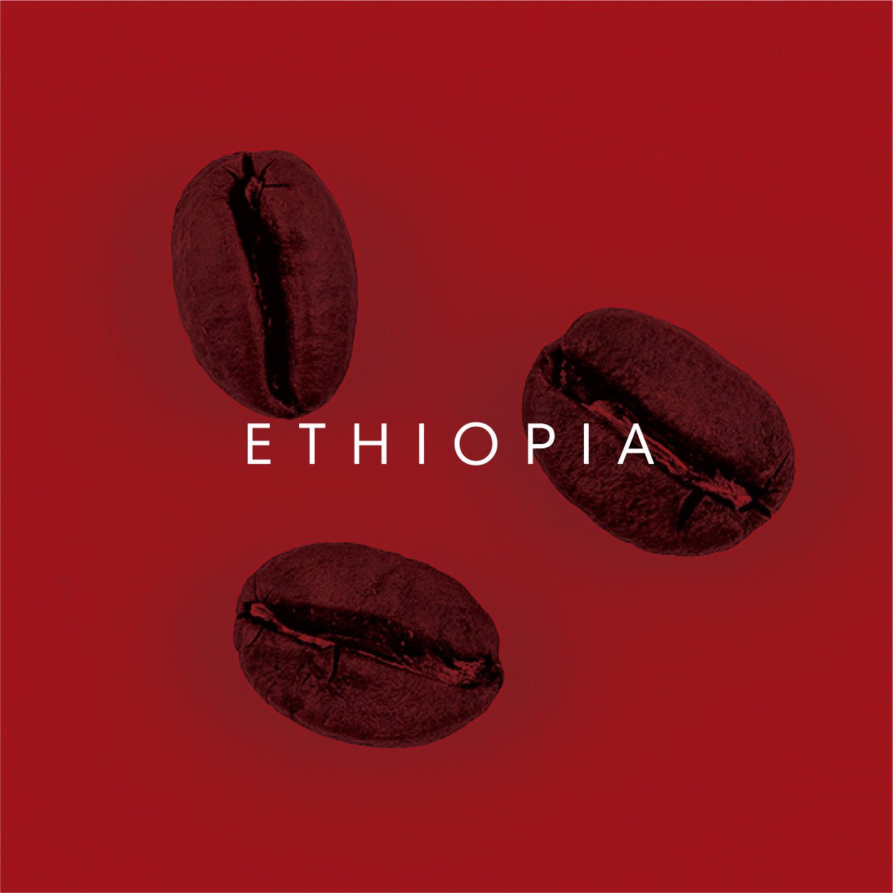 Ethiopia Yirgacheffe HARU SUKE G1 Natural