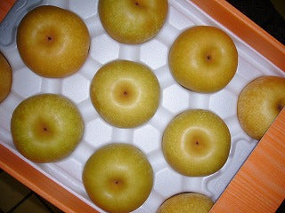 【熊本県産】あきづき梨