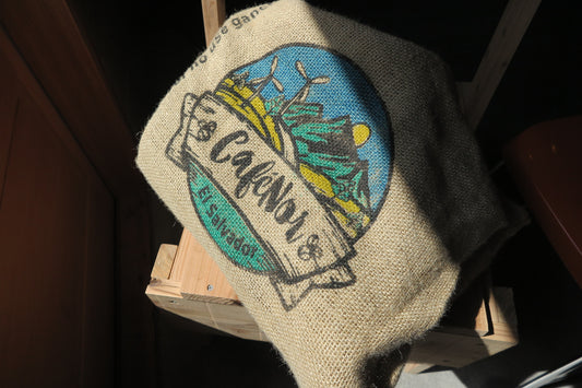 El Salvador, CaféNor pacamara