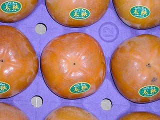【熊本・福岡産】太秋柿