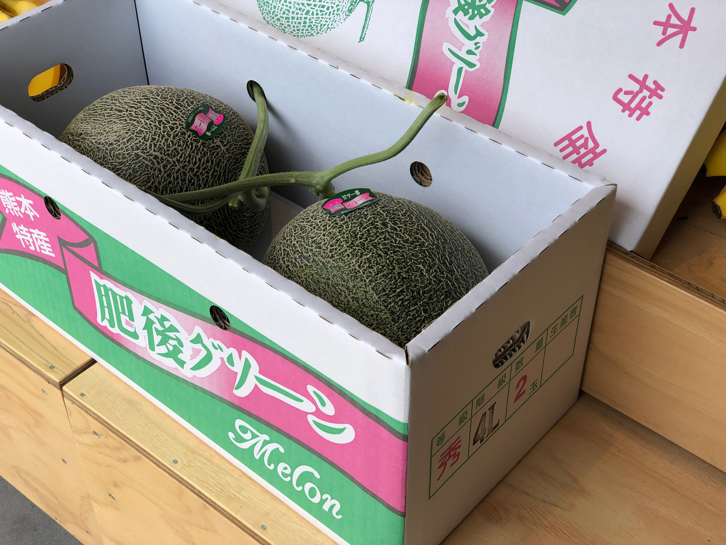 肥後グリーン(2玉入り)