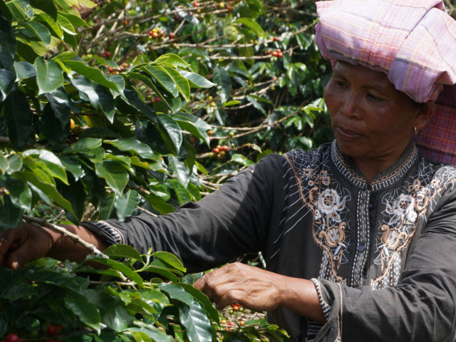 Indonesia, Aceh Alur Badak