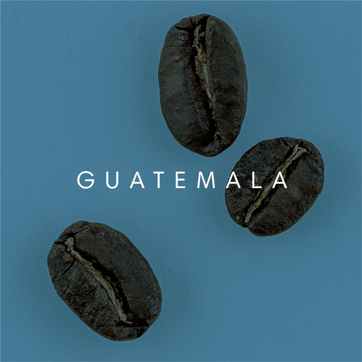 Guatemala, Primavera Coffee