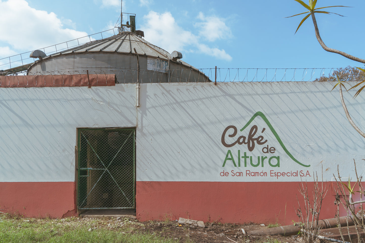 Costa Rica, Café de Altura