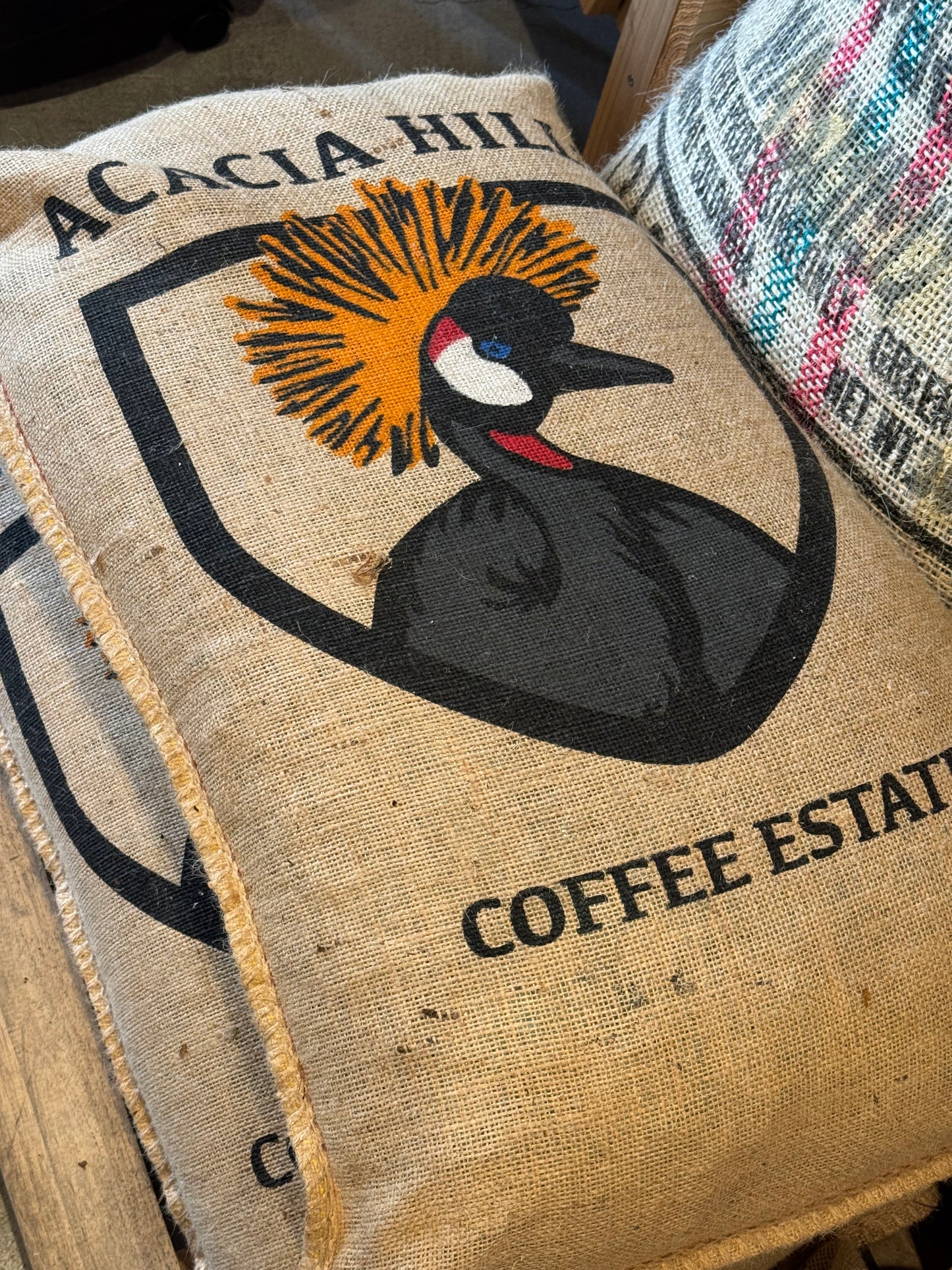 Tanzania, Leon Christianakis