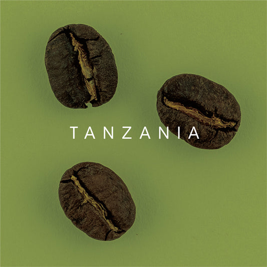 Tanzania, Leon Christianakis