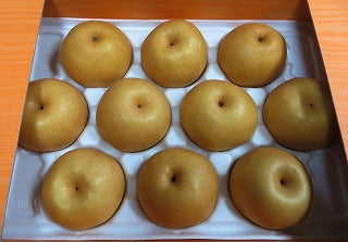 【熊本県産】新高梨