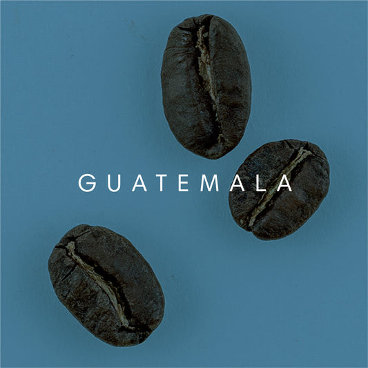 Guatemala, Vista Al Bosque