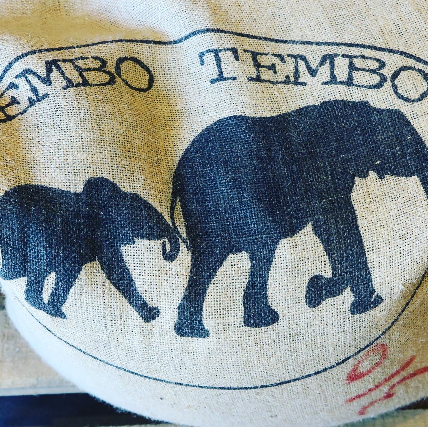 Tanzania,  Tembo Tembo